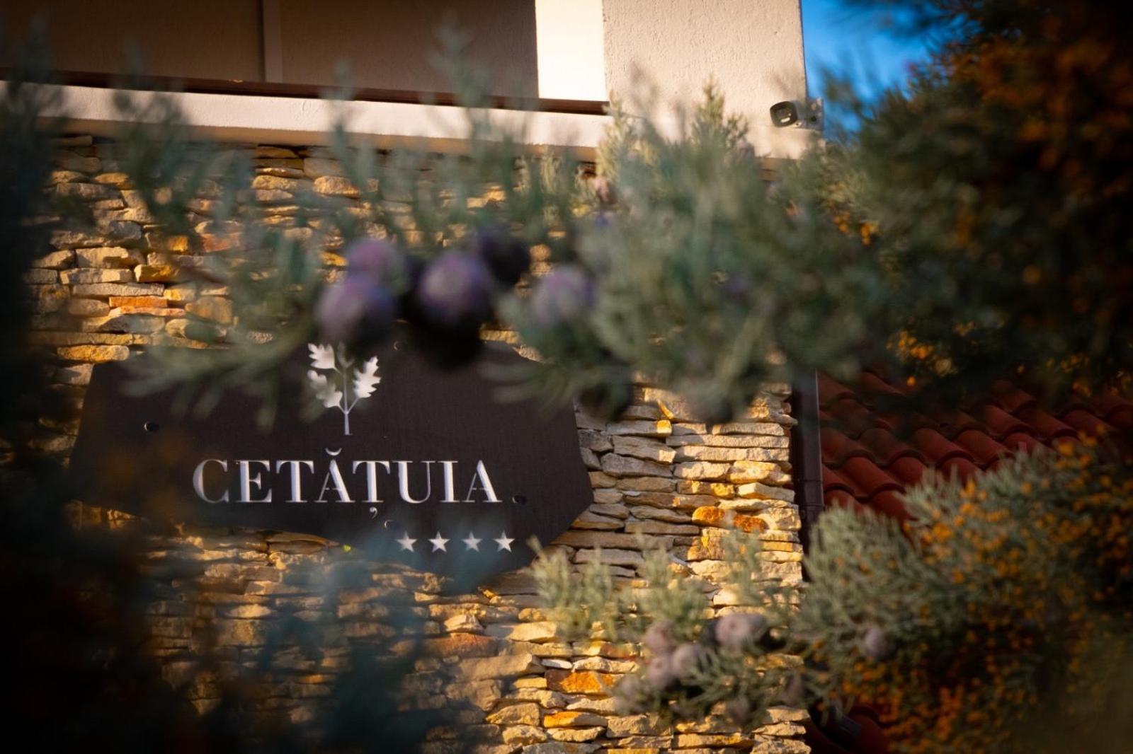 Hotel Cetatuia Măgura Exterior foto