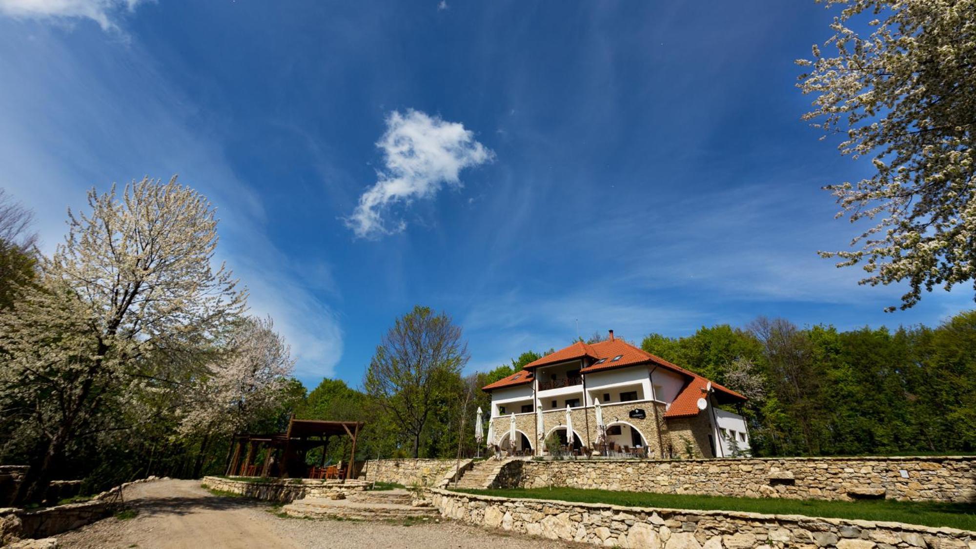 Hotel Cetatuia Măgura Exterior foto